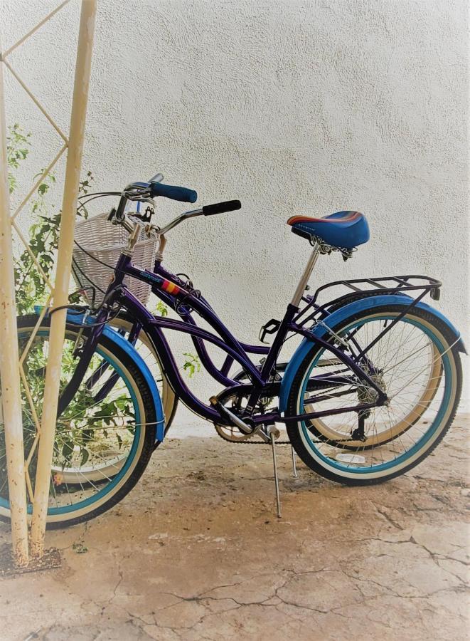 Casita bike 2025 rack